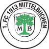 1. FC Mittelbuchen*