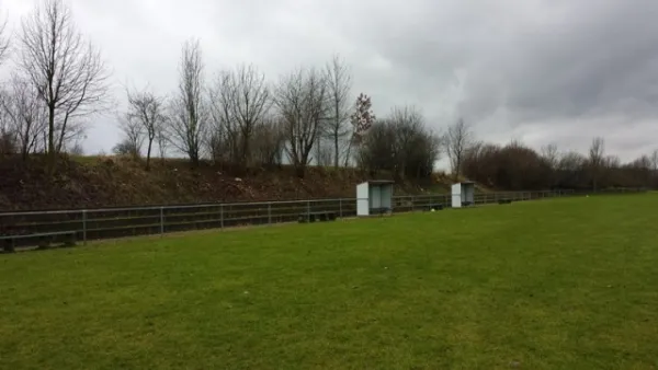 Heckenschnitt neuer Sportplatz