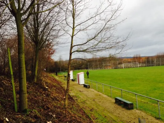 Heckenschnitt neuer Sportplatz