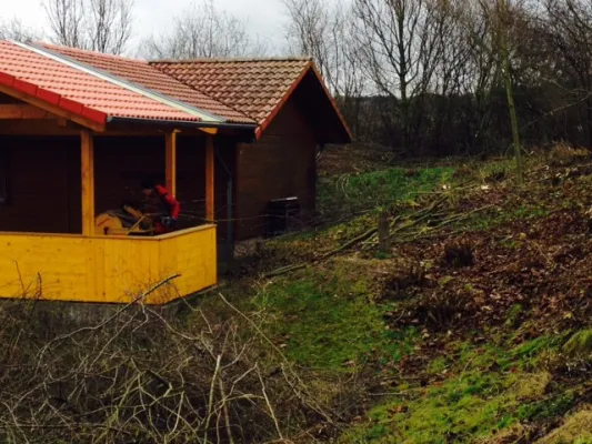 Heckenschnitt neuer Sportplatz