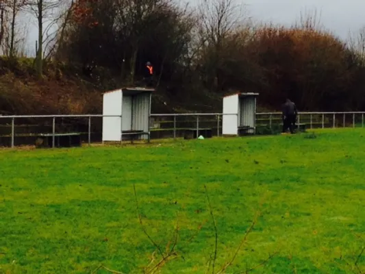 Heckenschnitt neuer Sportplatz