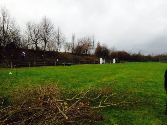 Heckenschnitt neuer Sportplatz