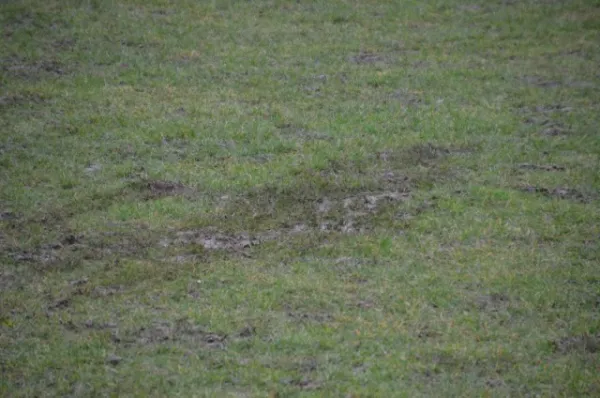 FV Steinau/Slü I vs. SG Rückers I